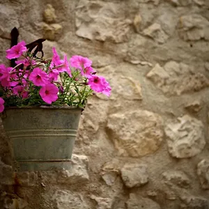 Le Cinque Luci Bed & Breakfast